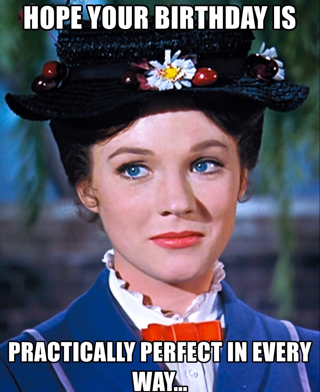 hope-your-birthday-is-practically-perfect-in-every-way
