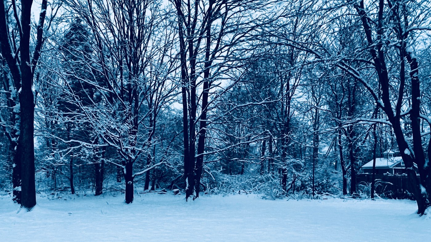 Winter in Genoa City, Wisconsin